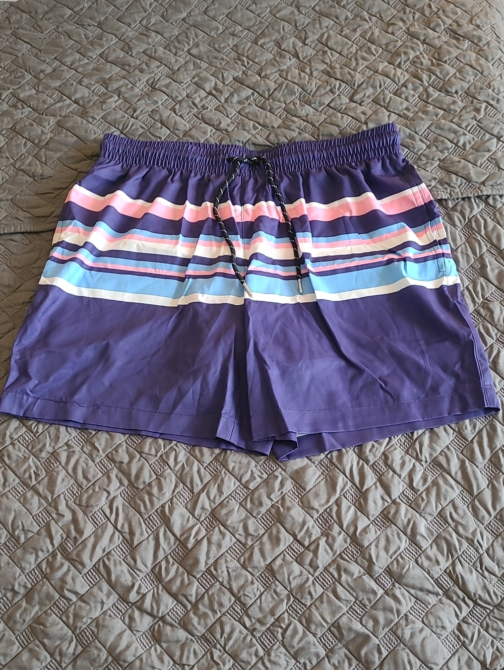 Purple Stripe Men's Swim Shorts